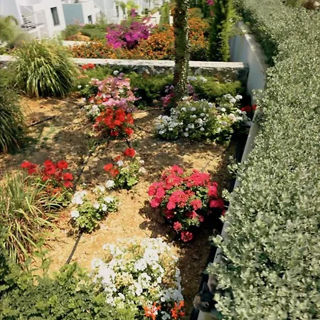 Daire Charming 2 Bedroom Garden Getaway *