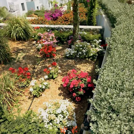 Apartment Charming 2 Bedroom Garden Getaway *